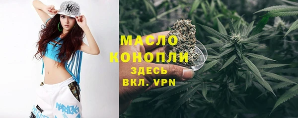твердый Арсеньев