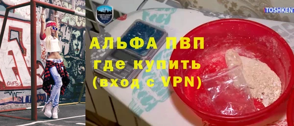 твердый Арсеньев