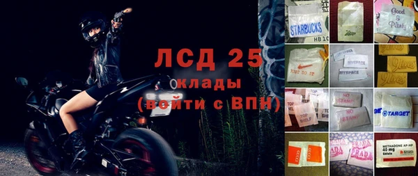 твердый Арсеньев