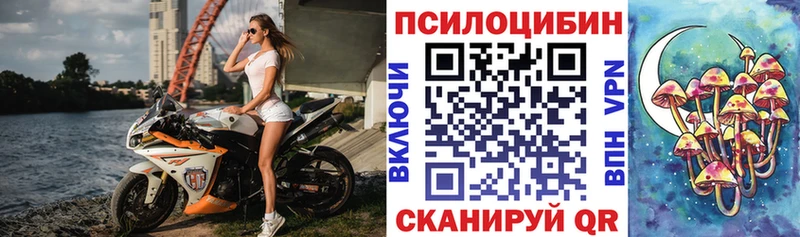 Галлюциногенные грибы Psilocybine cubensis  закладка  Мензелинск 